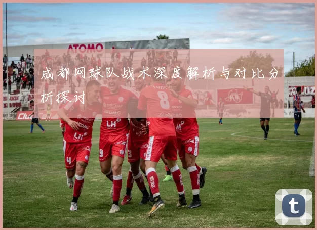 成都网球队战术深度解析与对比分析探讨