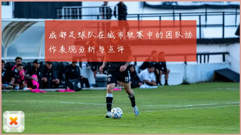 成都足球队在城市联赛中的团队协作表现分析与点评