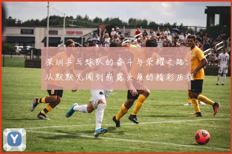深圳乒乓球队的奋斗与荣耀之路：从默默无闻到崭露头角的精彩历程