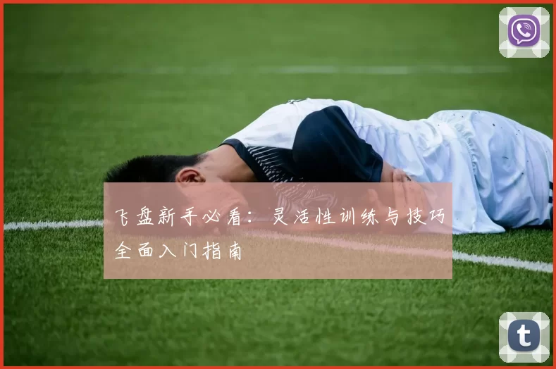飞盘新手必看：灵活性训练与技巧全面入门指南