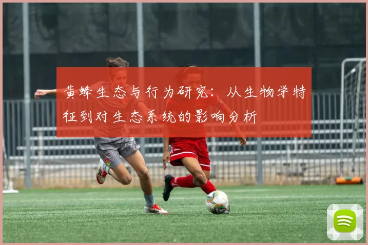 黄蜂生态与行为研究：从生物学特征到对生态系统的影响分析