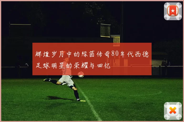辉煌岁月中的绿茵传奇80年代西德足球明星的荣耀与回忆