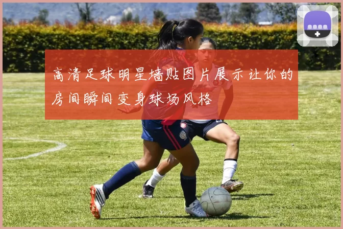 高清足球明星墙贴图片展示让你的房间瞬间变身球场风格