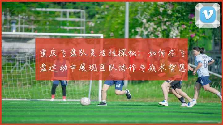 重庆飞盘队灵活性探秘：如何在飞盘运动中展现团队协作与战术智慧