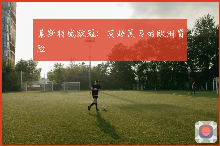 莱斯特城欧冠：英超黑马的欧洲冒险