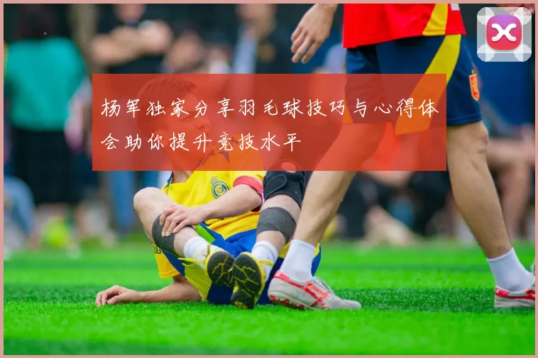杨军独家分享羽毛球技巧与心得体会助你提升竞技水平