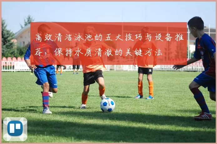 高效清洁泳池的五大技巧与设备推荐，保持水质清澈的关键方法