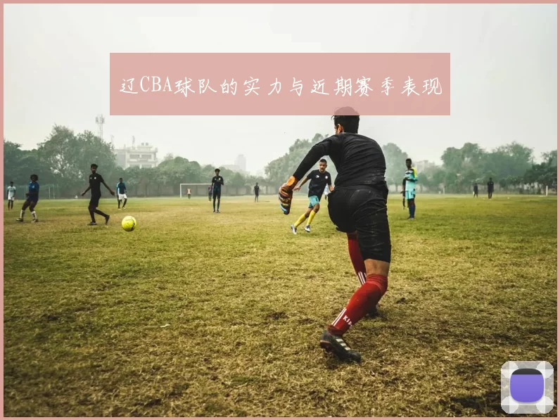 辽CBA球队的实力与近期赛季表现