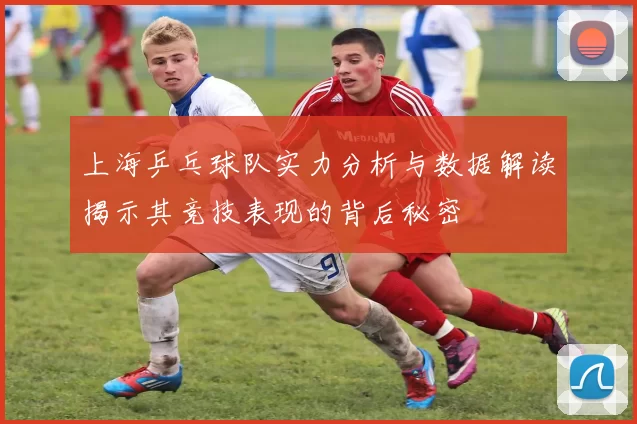 上海乒乓球队实力分析与数据解读揭示其竞技表现的背后秘密